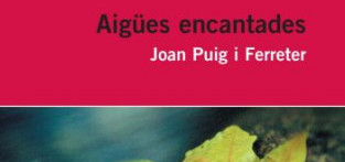 Libro Aigues Encantades (Catalan Edition) De Joan Puig Ferreter